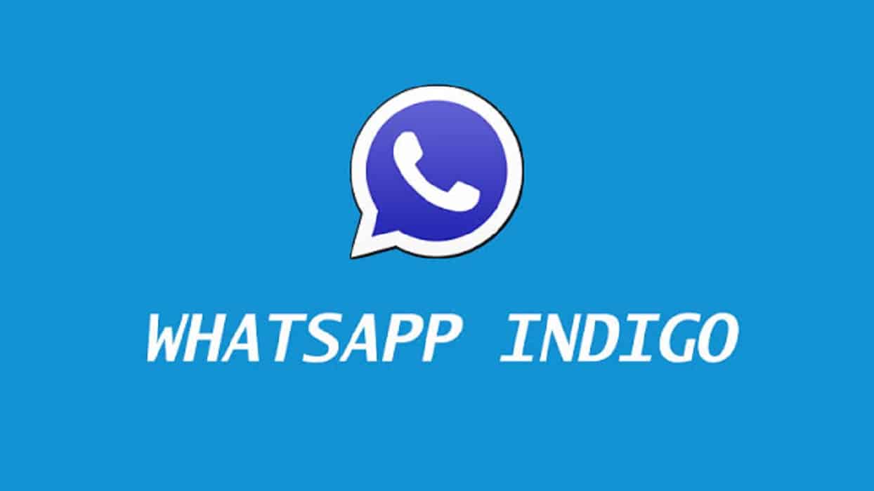 Whatsapp-Indigo